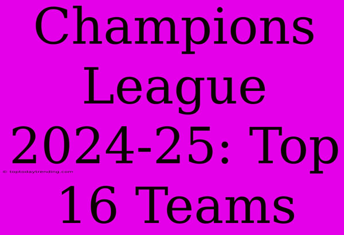 Champions League 2024-25: Top 16 Teams