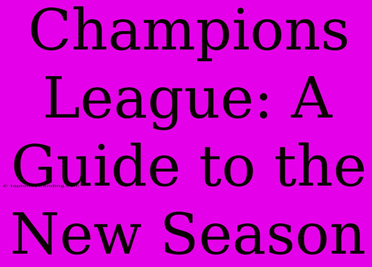 Champions League: A Guide To The New Season