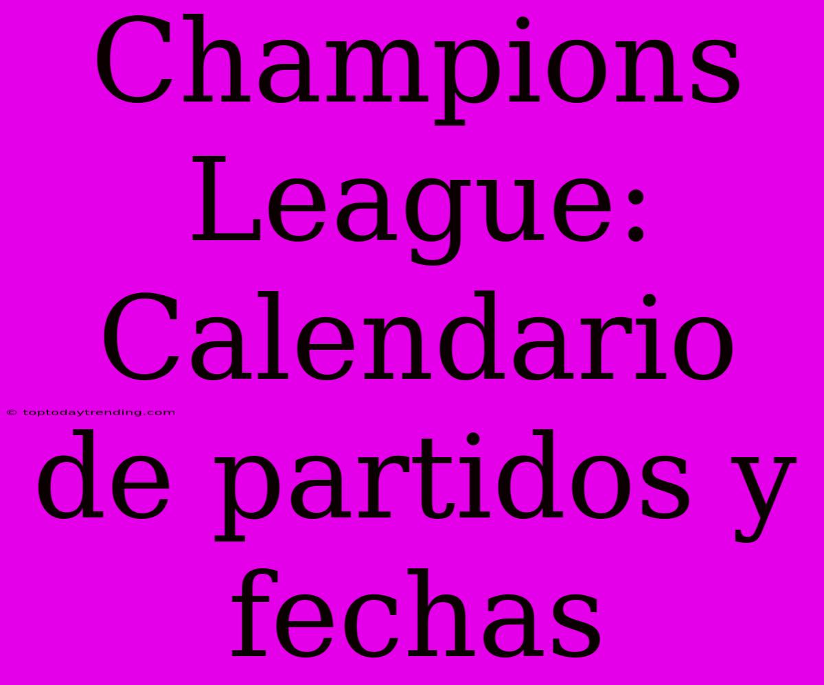 Champions League: Calendario De Partidos Y Fechas