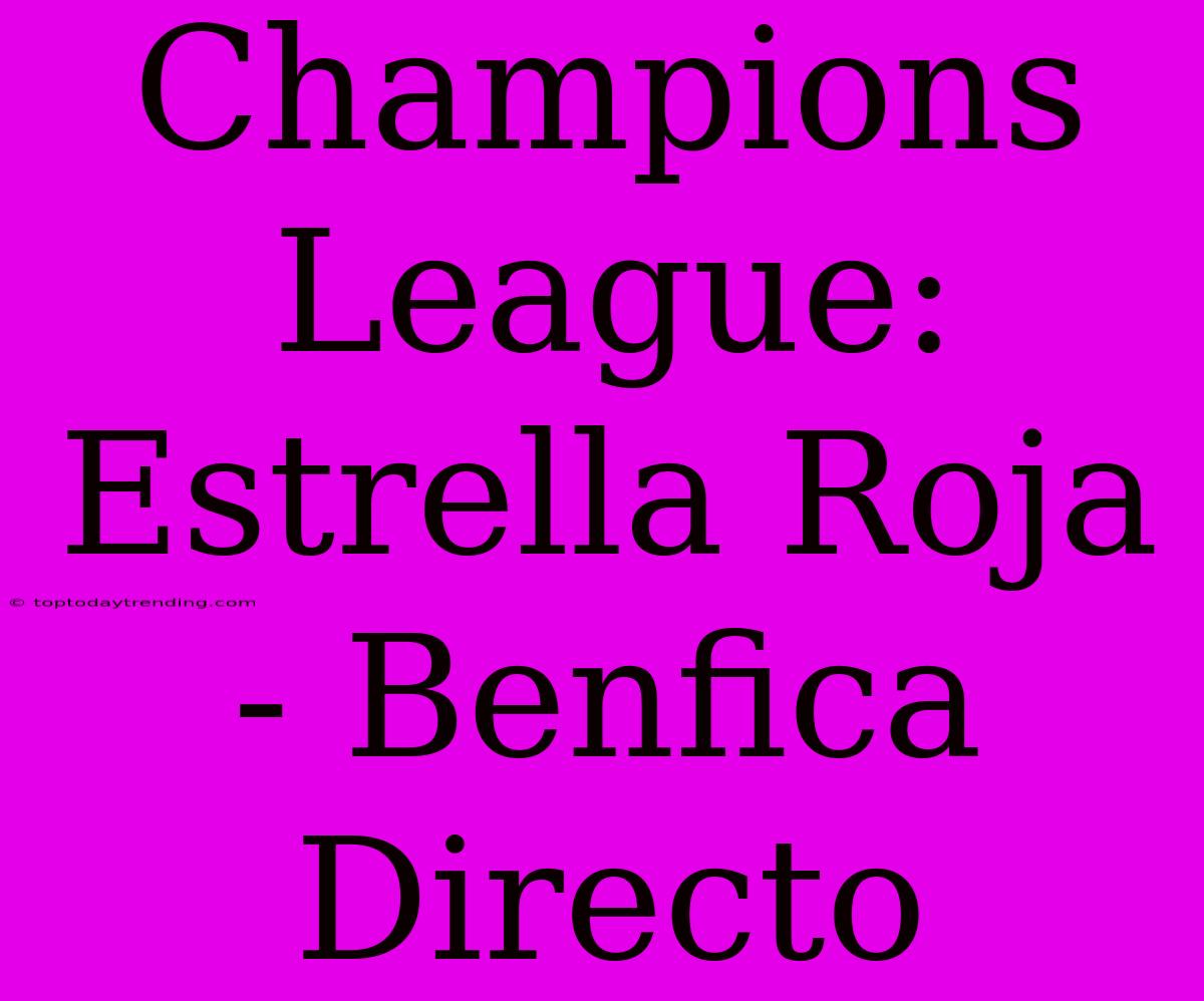 Champions League: Estrella Roja - Benfica Directo