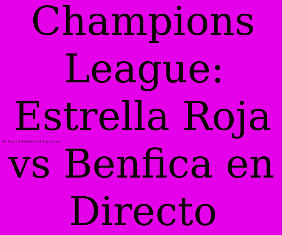 Champions League: Estrella Roja Vs Benfica En Directo