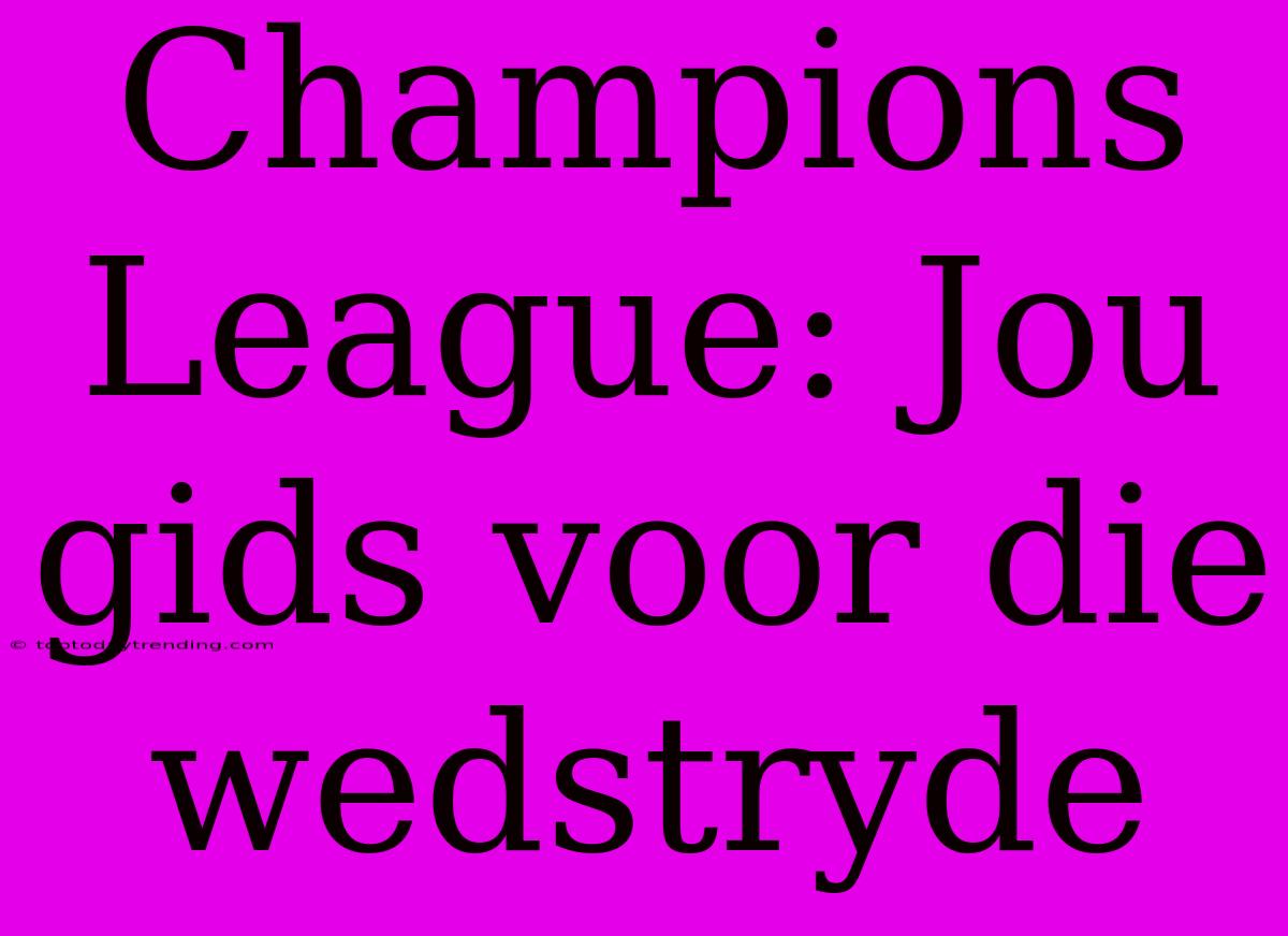 Champions League: Jou Gids Voor Die Wedstryde