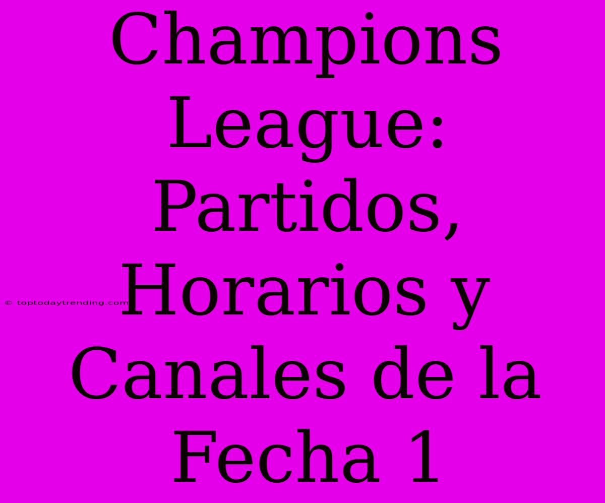 Champions League: Partidos, Horarios Y Canales De La Fecha 1