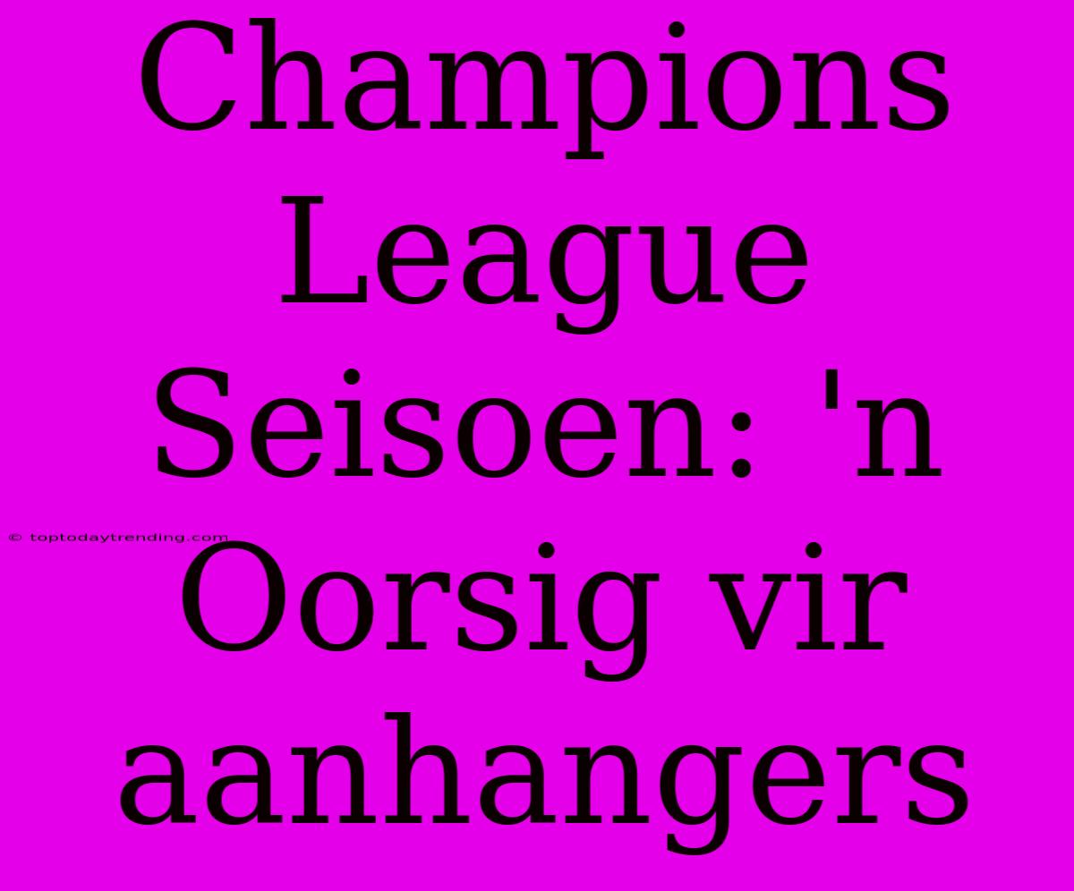 Champions League Seisoen: 'n Oorsig Vir Aanhangers