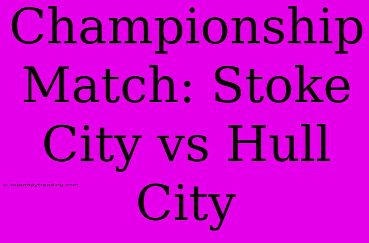 Championship Match: Stoke City Vs Hull City