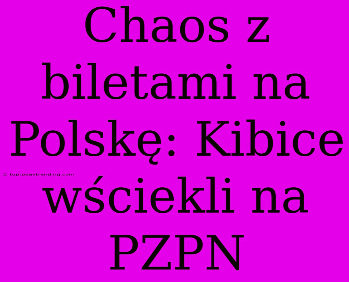 Chaos Z Biletami Na Polskę: Kibice Wściekli Na PZPN