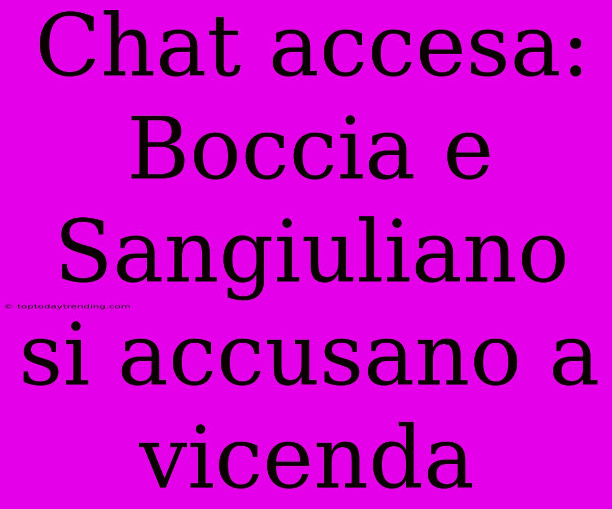 Chat Accesa: Boccia E Sangiuliano Si Accusano A Vicenda