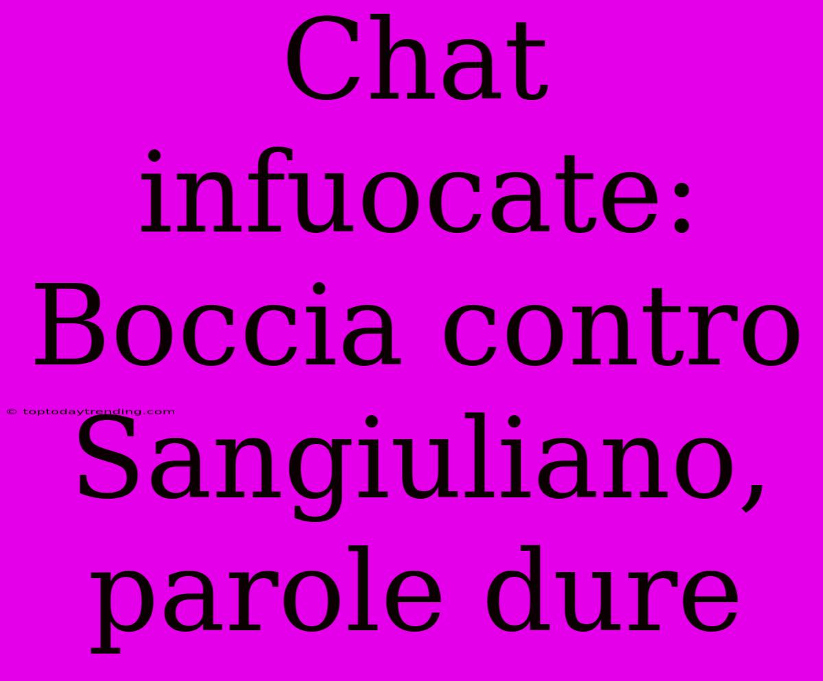 Chat Infuocate: Boccia Contro Sangiuliano, Parole Dure