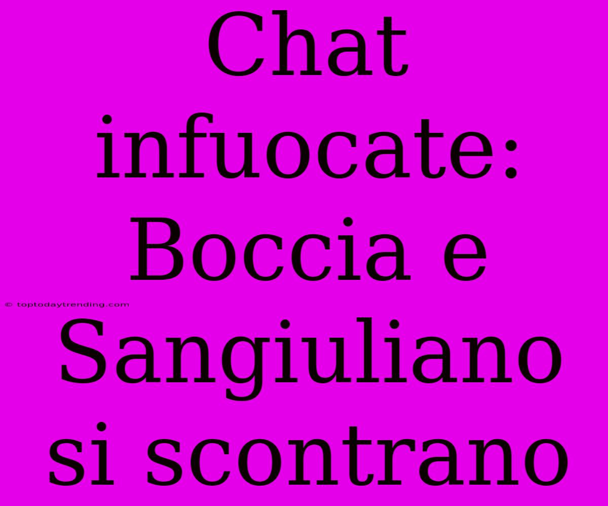 Chat Infuocate: Boccia E Sangiuliano Si Scontrano