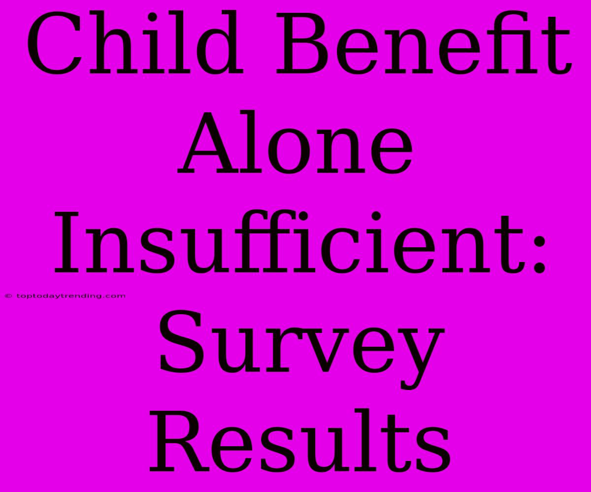 Child Benefit Alone Insufficient: Survey Results