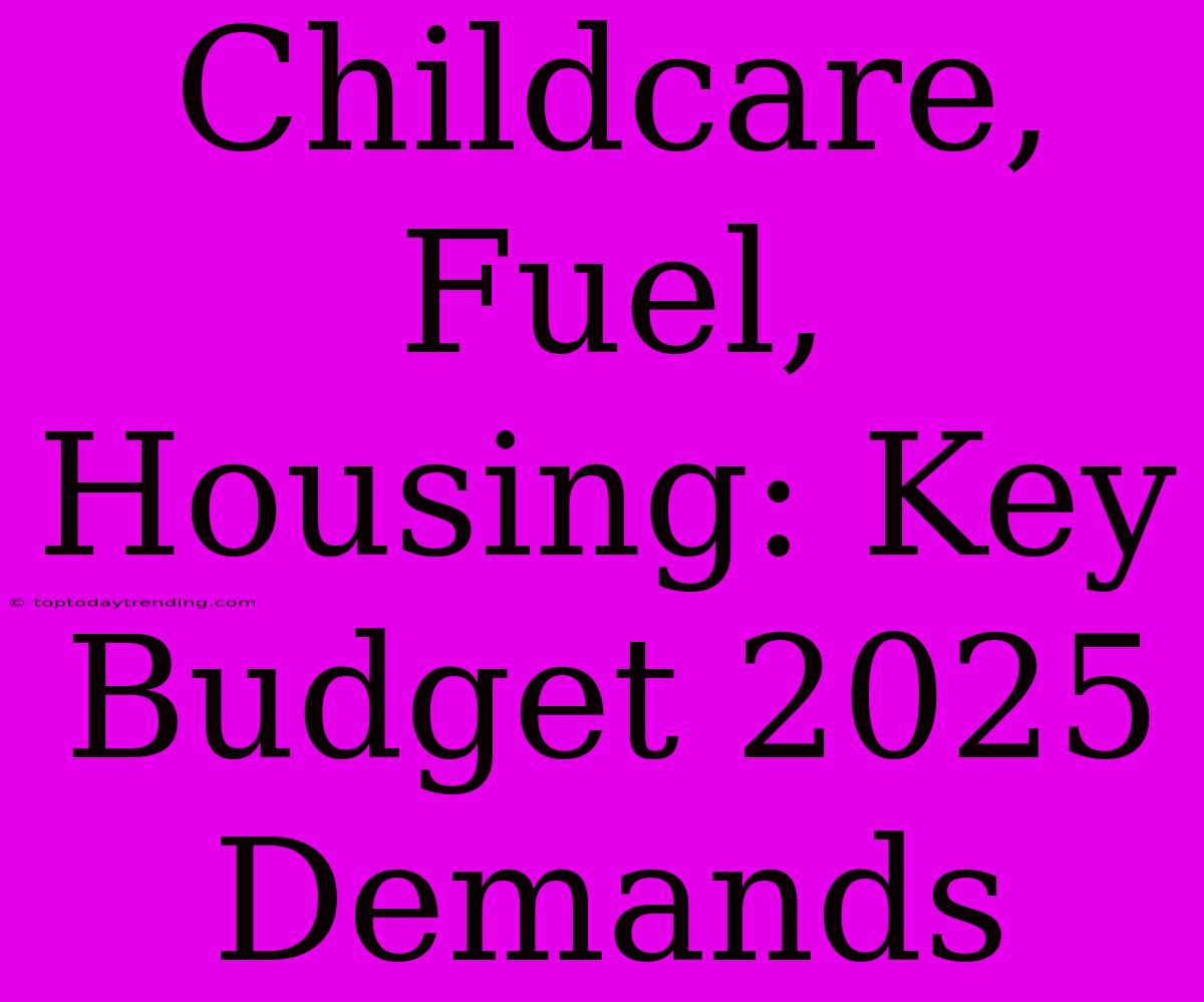 Childcare, Fuel, Housing: Key Budget 2025 Demands