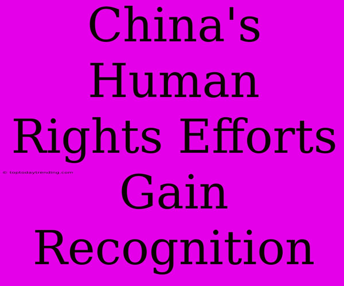 China's Human Rights Efforts Gain Recognition