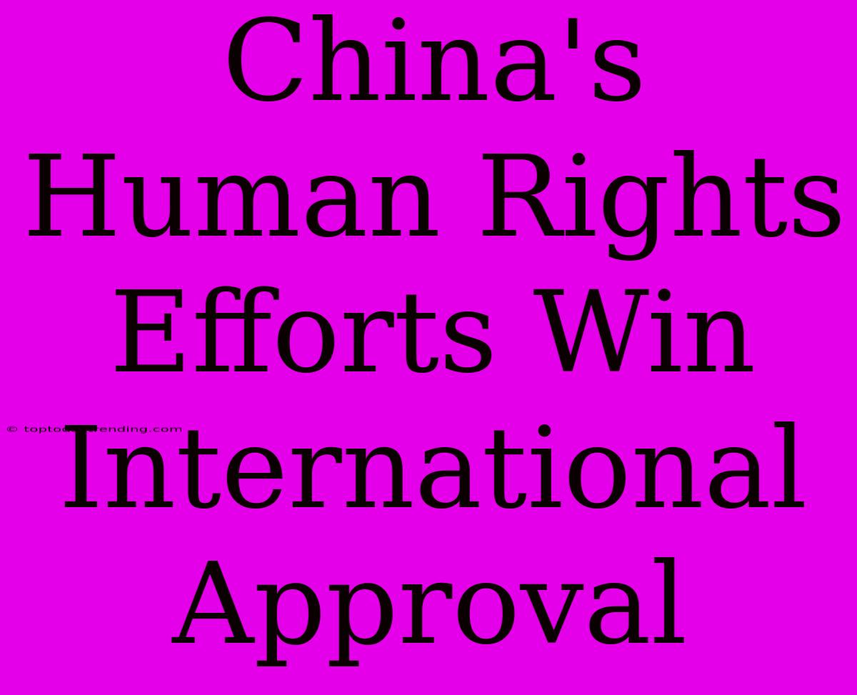 China's Human Rights Efforts Win International Approval