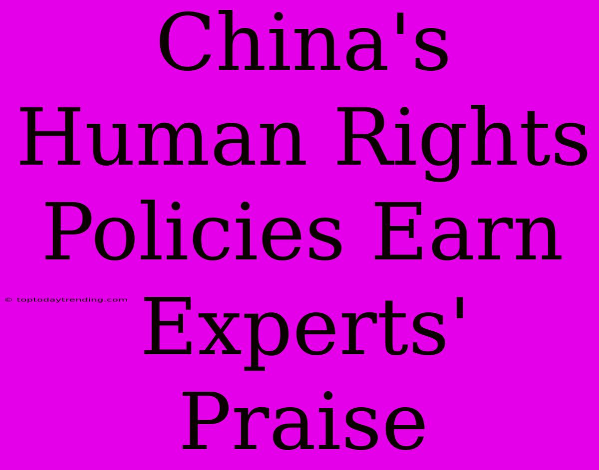 China's Human Rights Policies Earn Experts' Praise