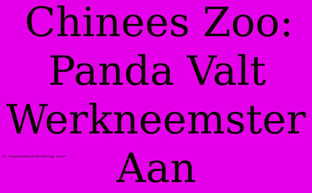 Chinees Zoo: Panda Valt Werkneemster Aan