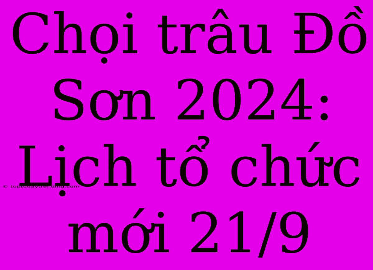 Chọi Trâu Đồ Sơn 2024: Lịch Tổ Chức Mới 21/9