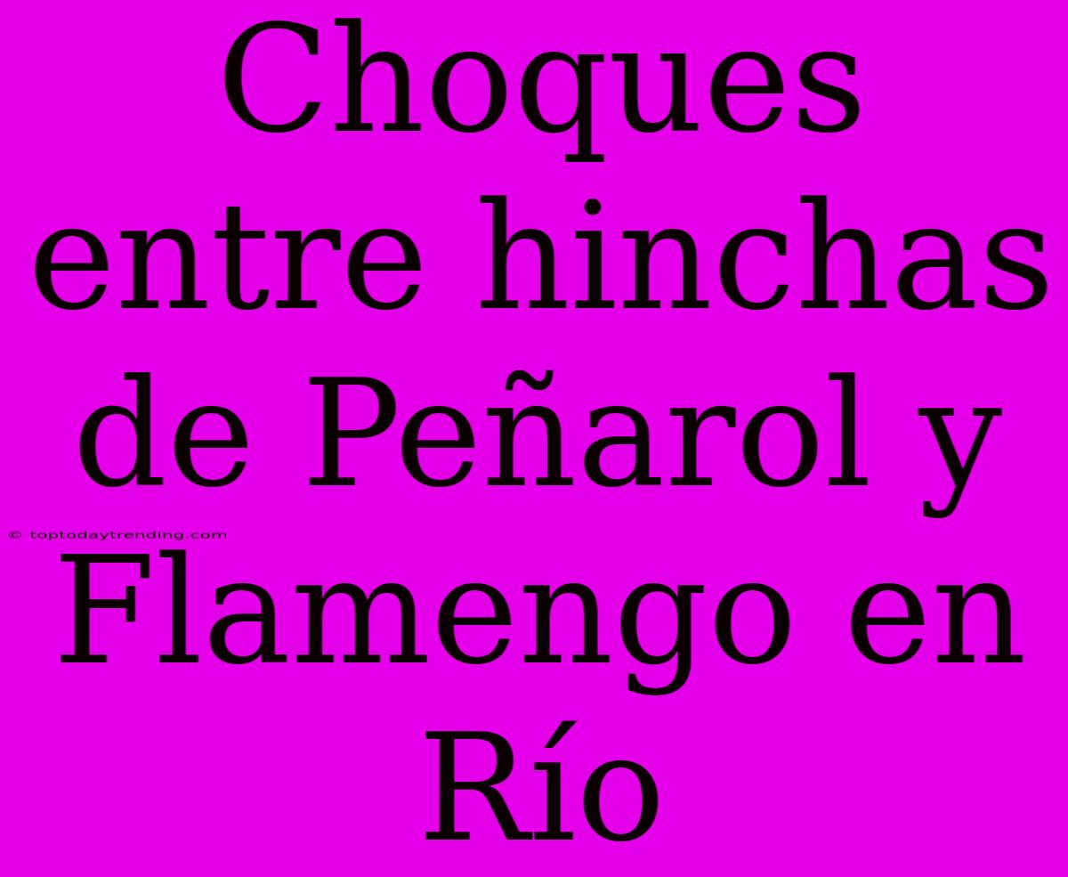 Choques Entre Hinchas De Peñarol Y Flamengo En Río