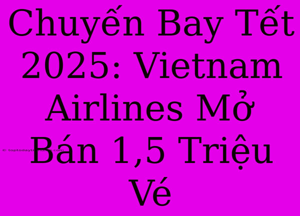 Chuyến Bay Tết 2025: Vietnam Airlines Mở Bán 1,5 Triệu Vé