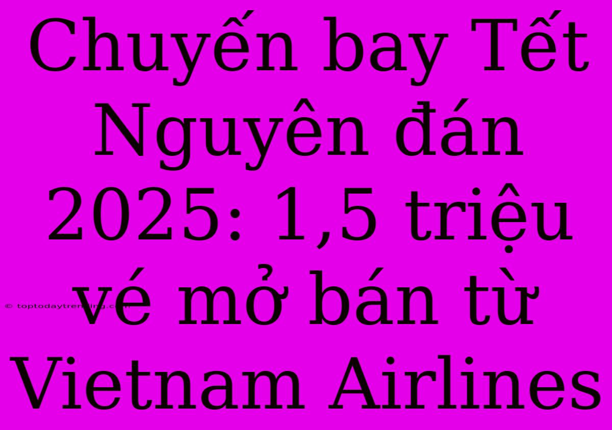 Chuyến Bay Tết Nguyên Đán 2025: 1,5 Triệu Vé Mở Bán Từ Vietnam Airlines