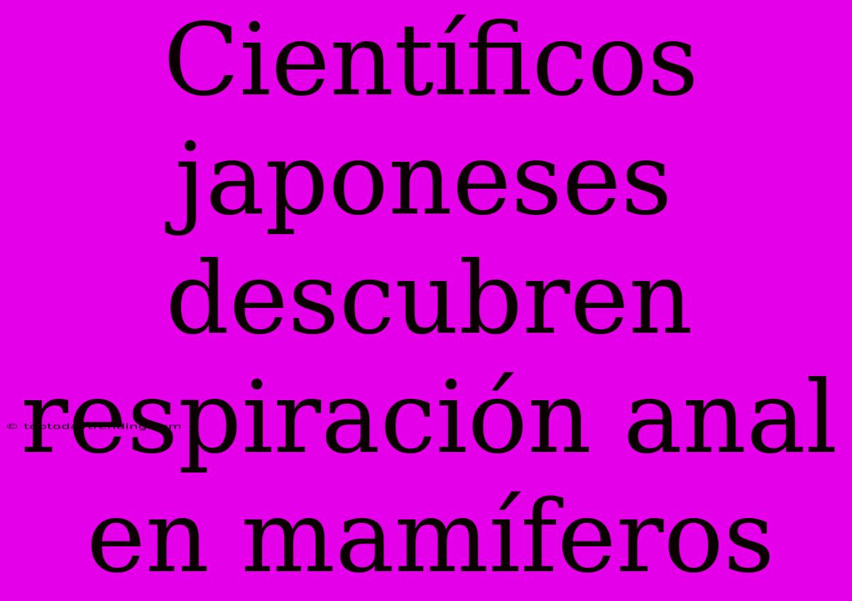 Científicos Japoneses Descubren Respiración Anal En Mamíferos