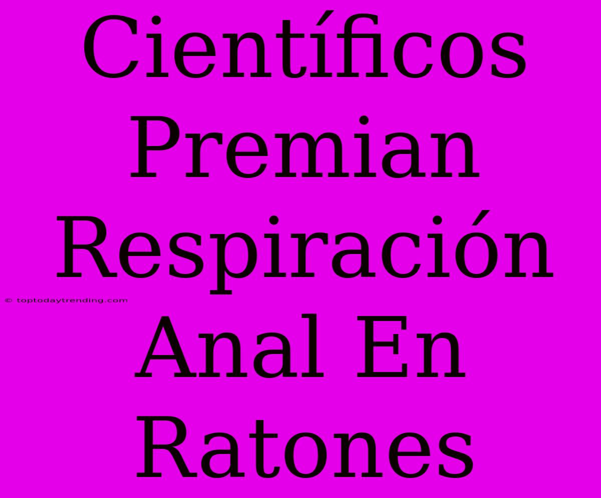 Científicos Premian Respiración Anal En Ratones