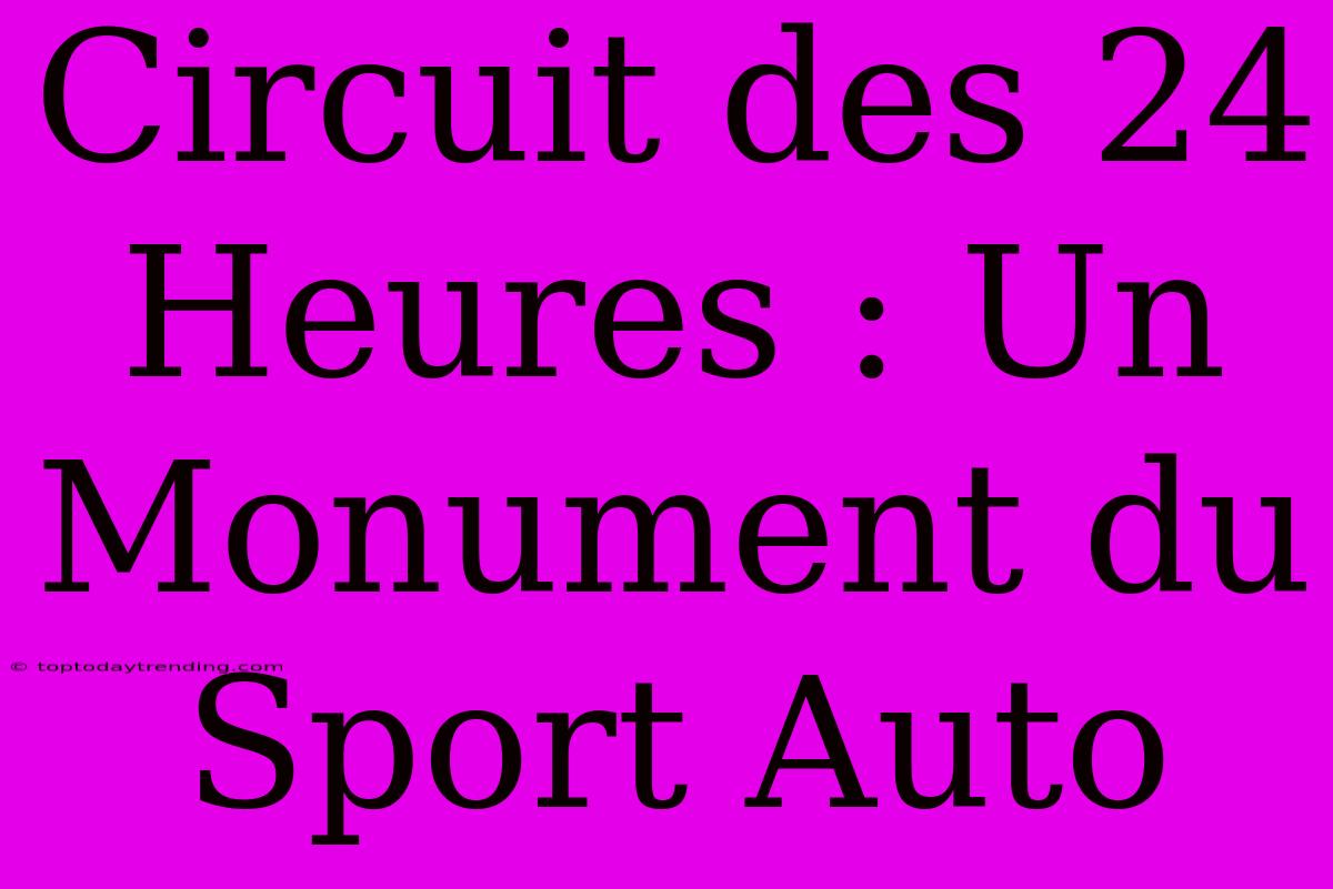 Circuit Des 24 Heures : Un Monument Du Sport Auto