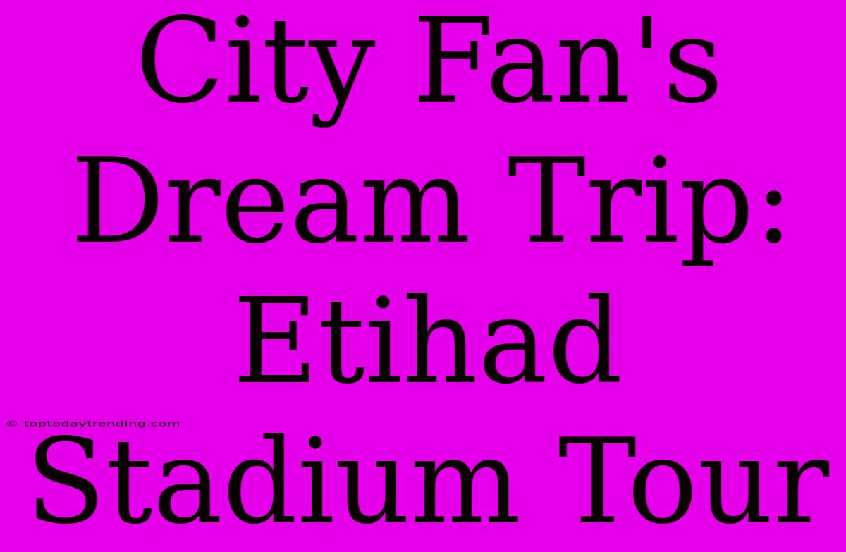 City Fan's Dream Trip: Etihad Stadium Tour