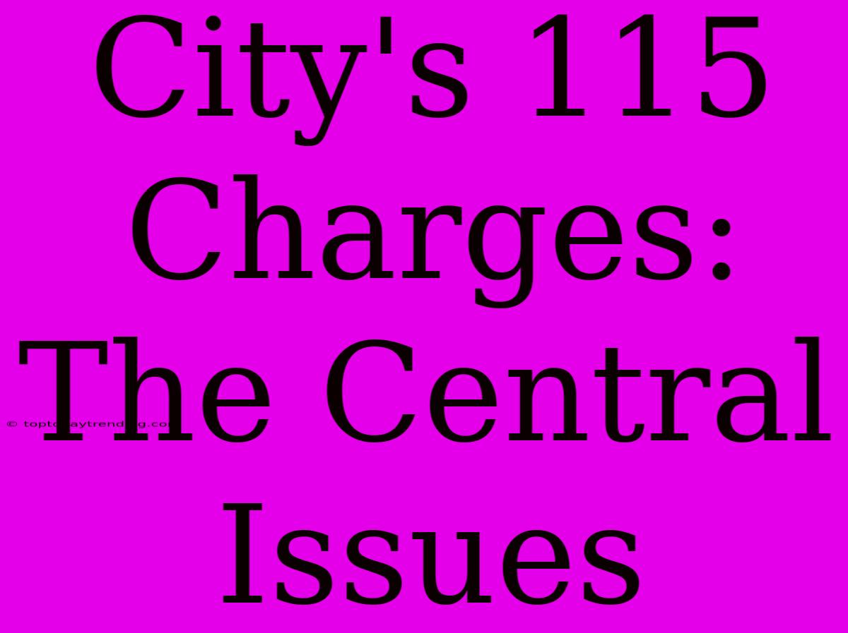 City's 115 Charges: The Central Issues