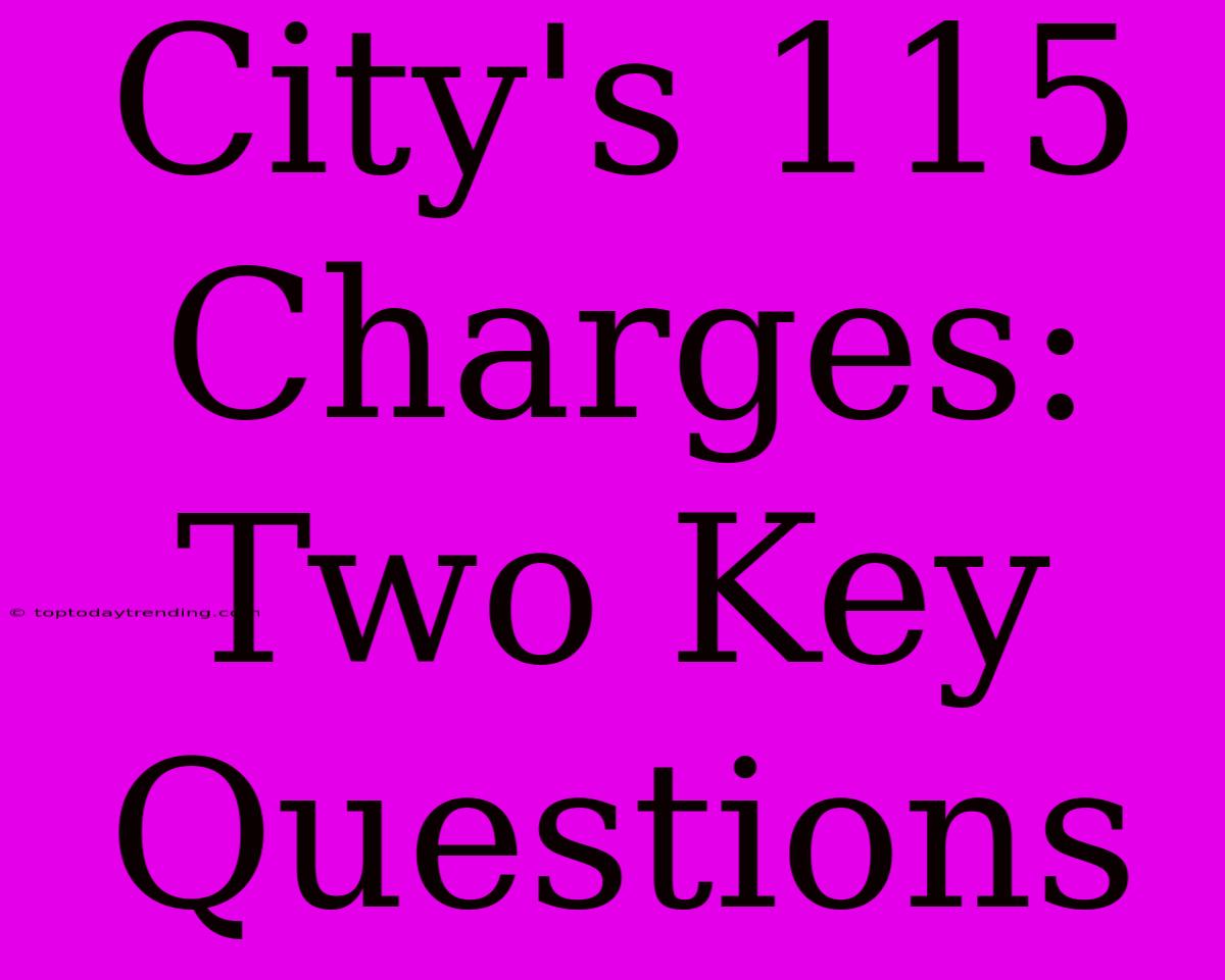 City's 115 Charges: Two Key Questions