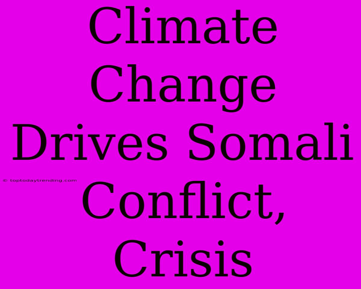 Climate Change Drives Somali Conflict, Crisis