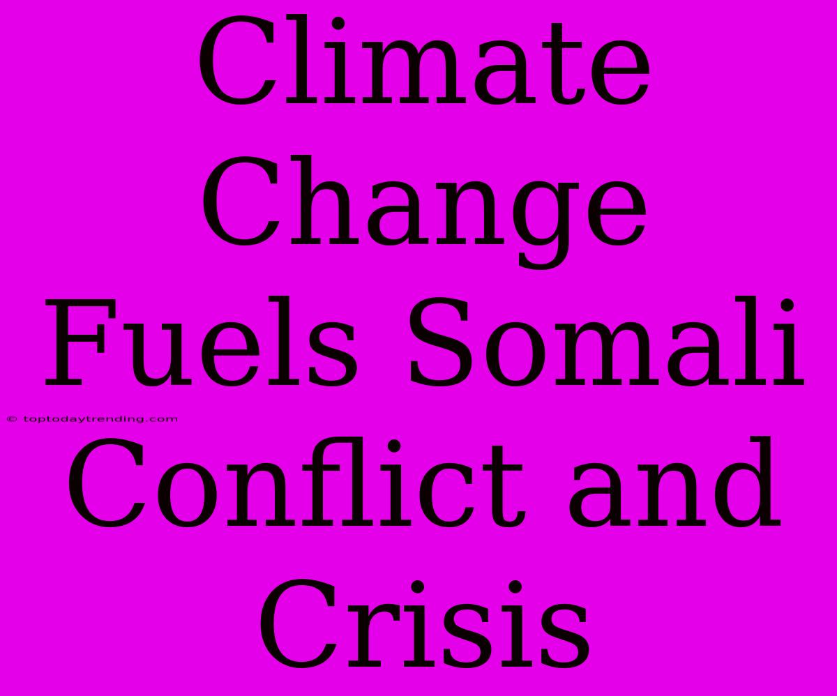 Climate Change Fuels Somali Conflict And Crisis