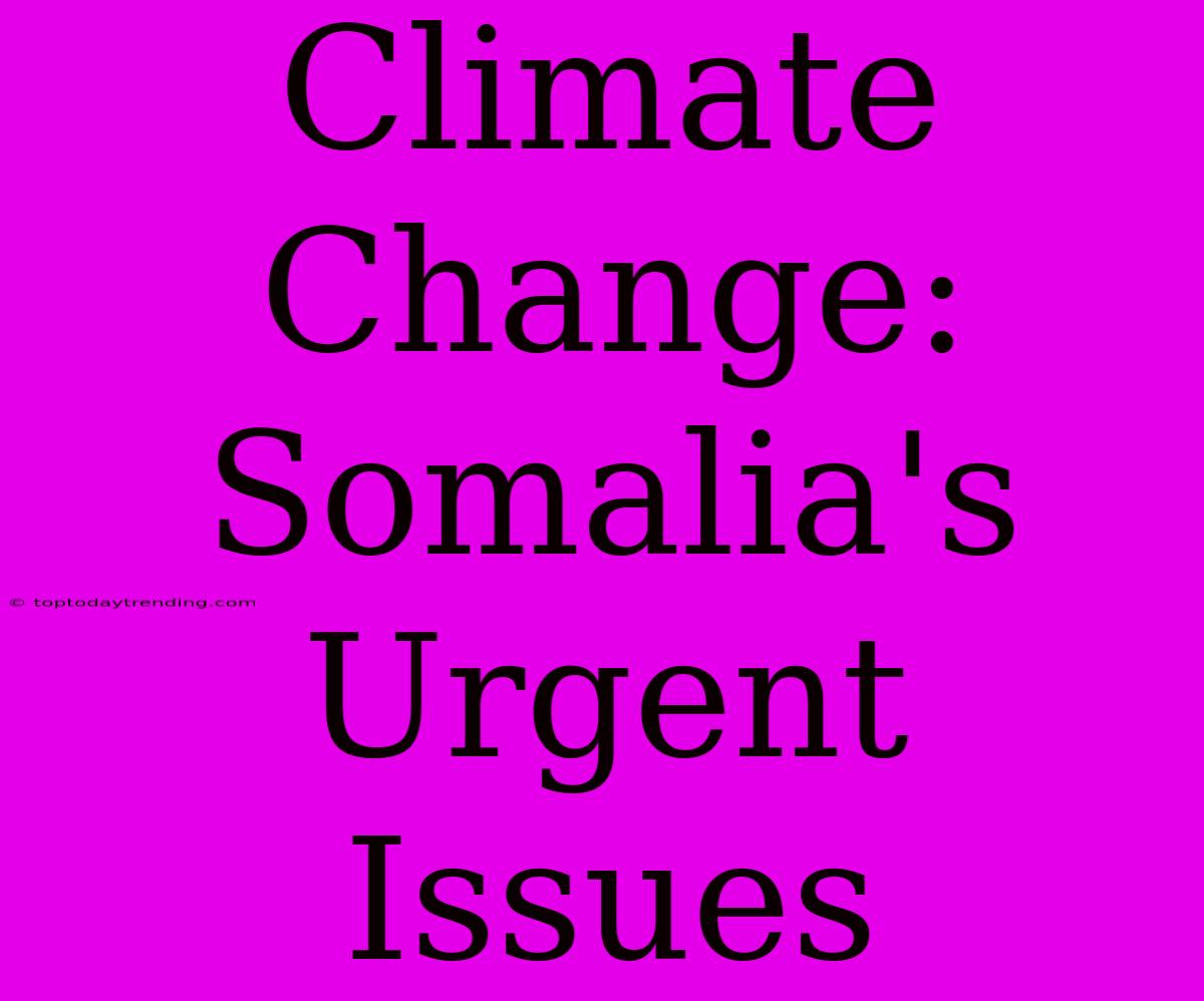 Climate Change: Somalia's Urgent Issues