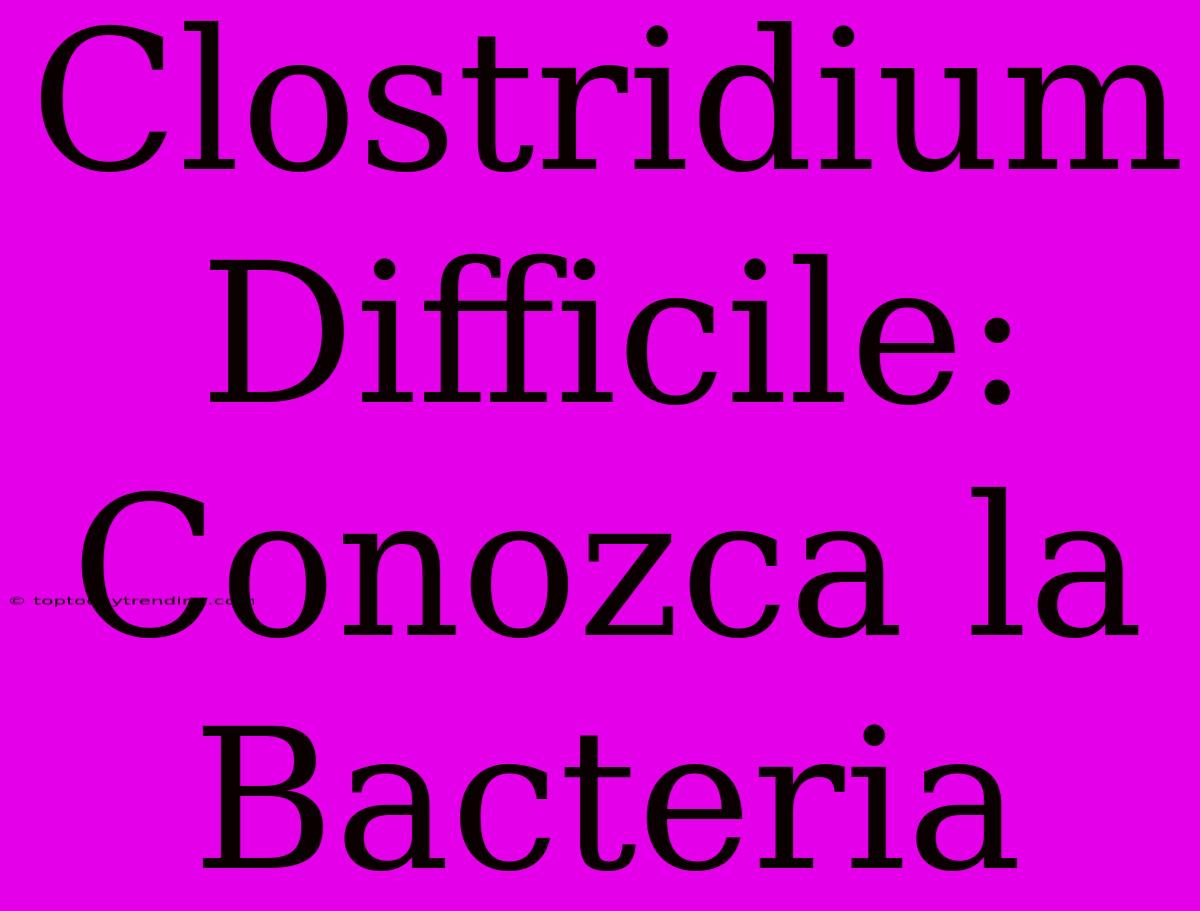 Clostridium Difficile: Conozca La Bacteria