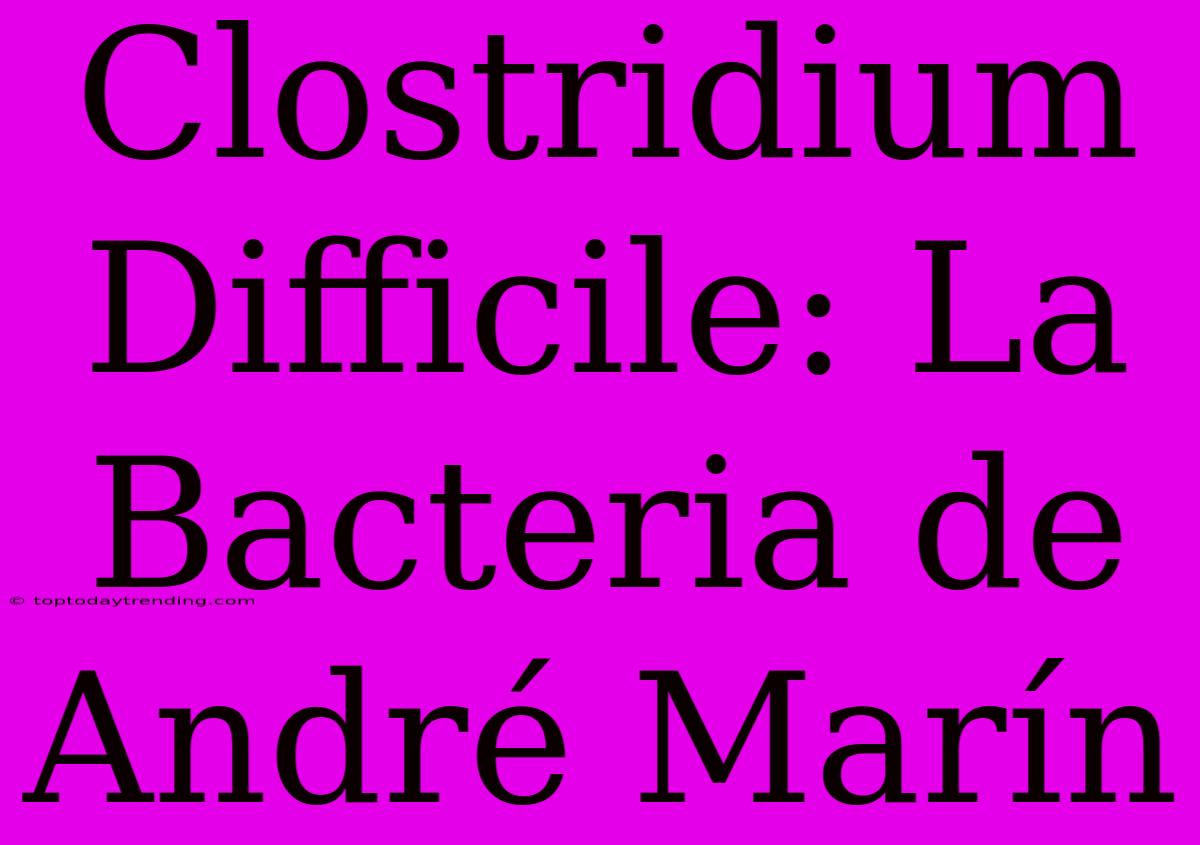 Clostridium Difficile: La Bacteria De André Marín