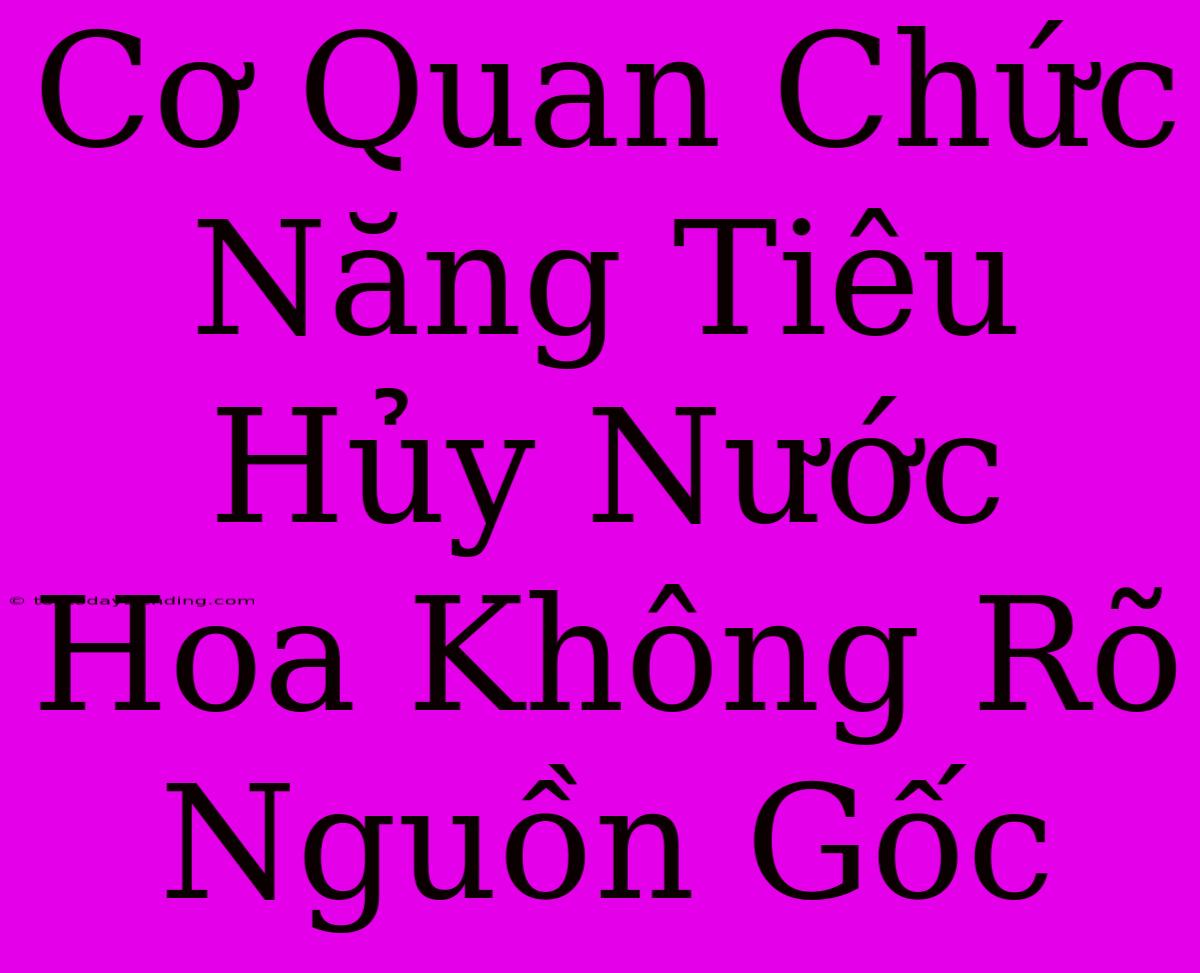 Cơ Quan Chức Năng Tiêu Hủy Nước Hoa Không Rõ Nguồn Gốc