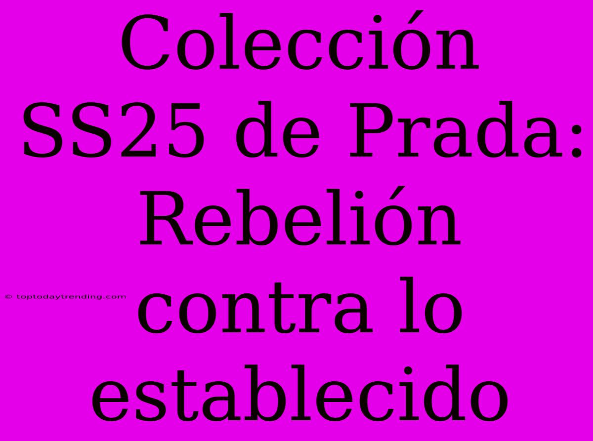 Colección SS25 De Prada: Rebelión Contra Lo Establecido