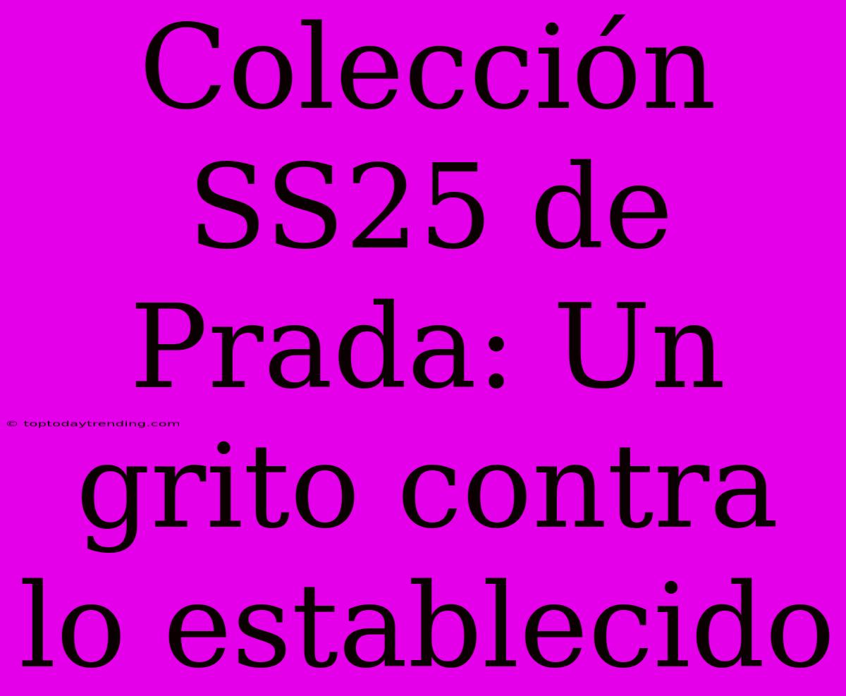 Colección SS25 De Prada: Un Grito Contra Lo Establecido