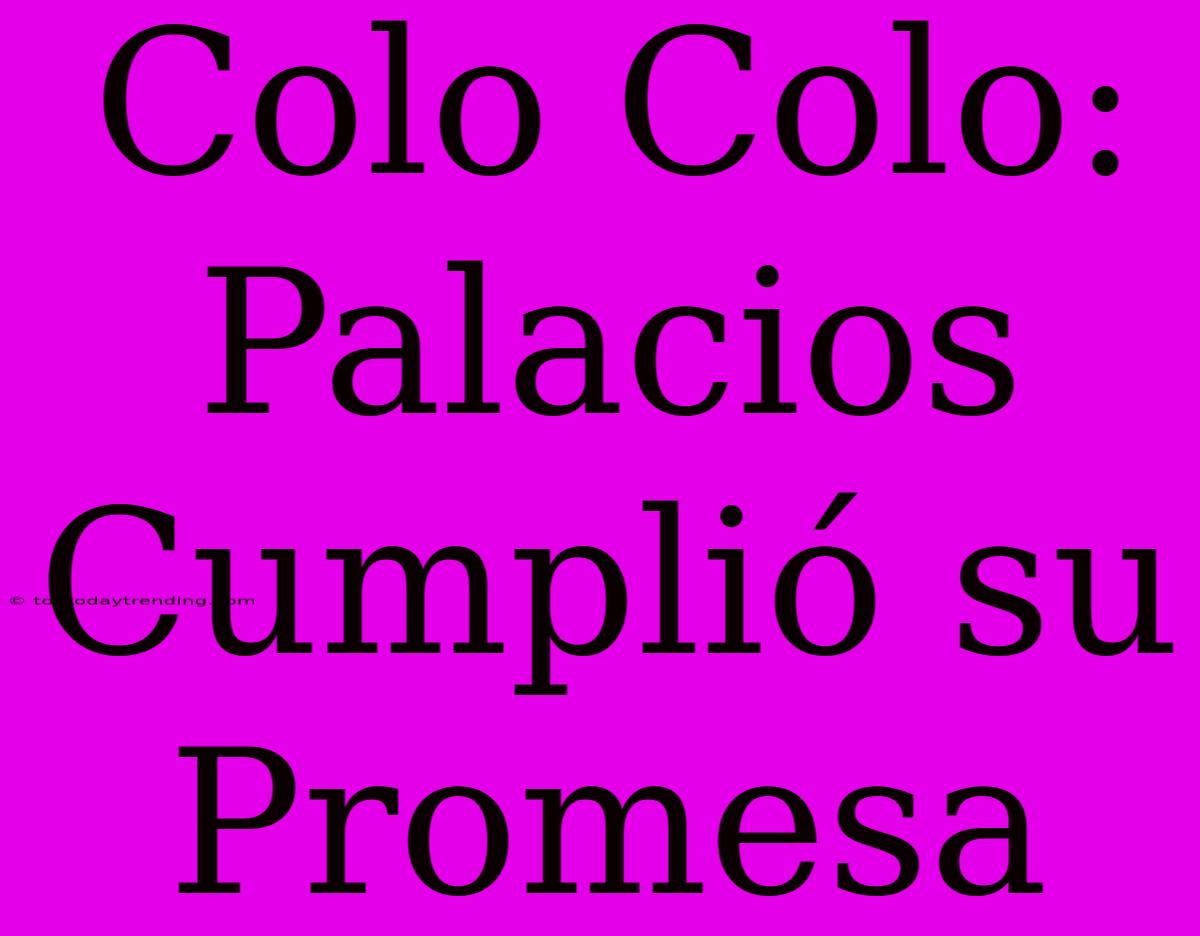 Colo Colo: Palacios Cumplió Su Promesa