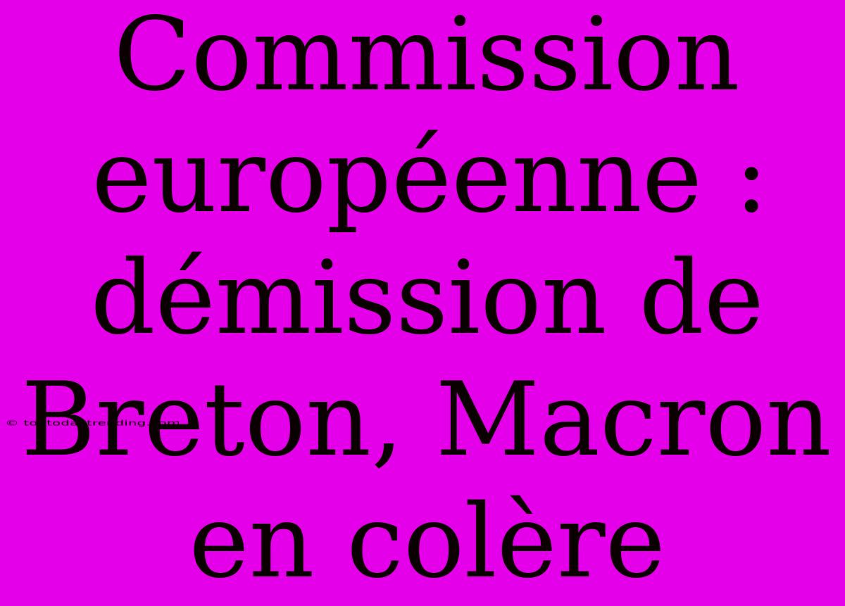 Commission Européenne : Démission De Breton, Macron En Colère