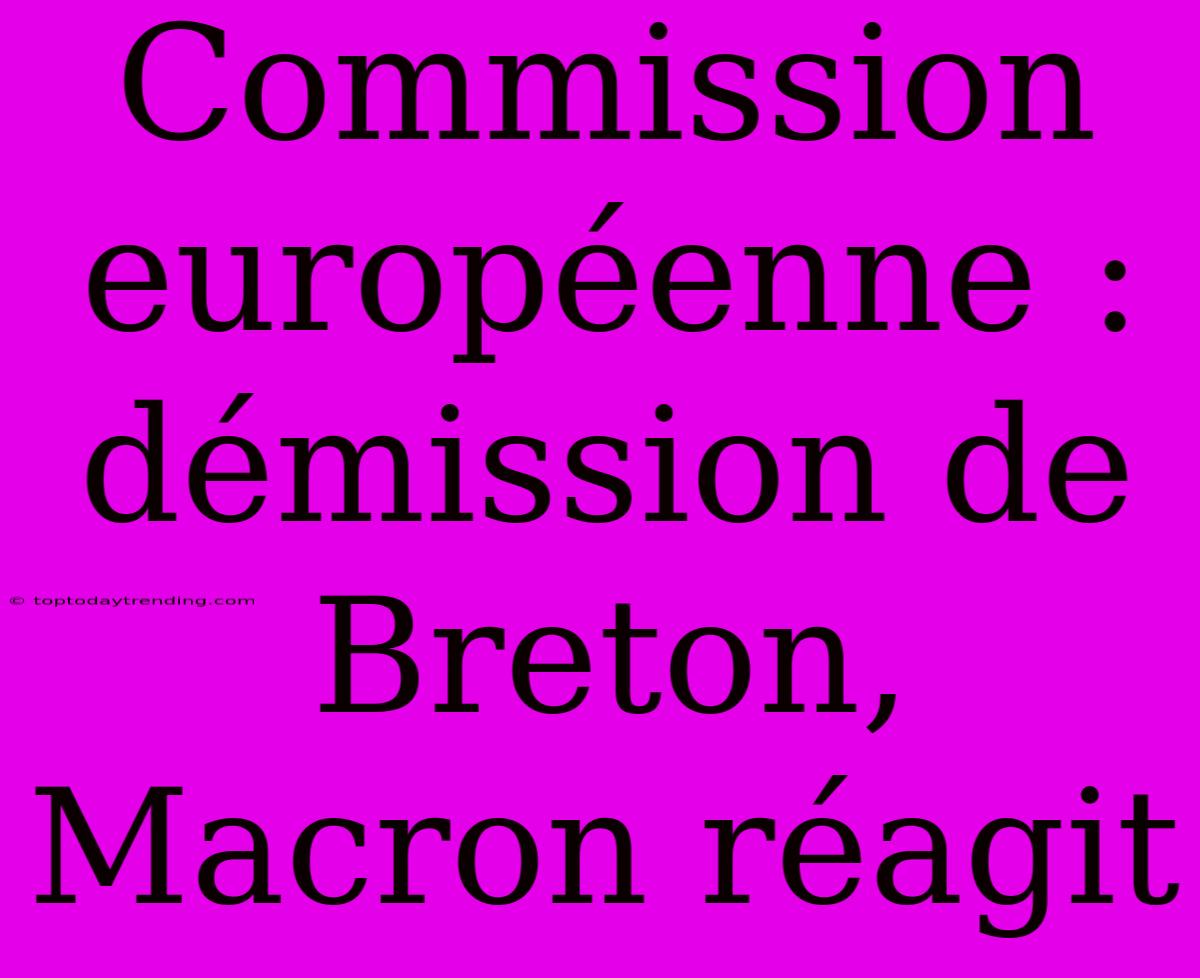 Commission Européenne : Démission De Breton, Macron Réagit