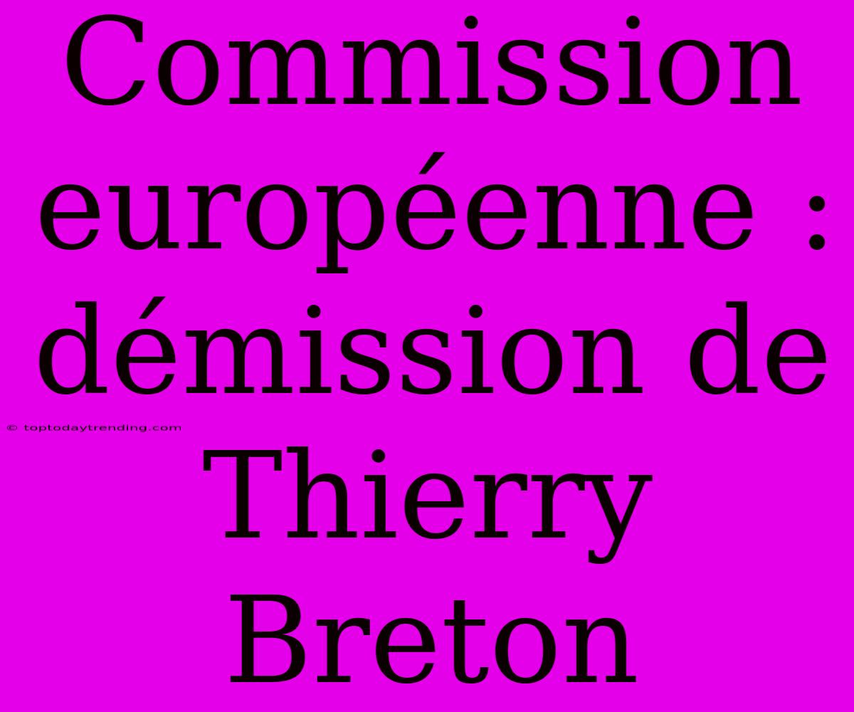 Commission Européenne : Démission De Thierry Breton