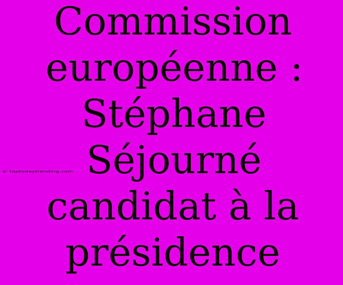 Commission Européenne : Stéphane Séjourné Candidat À La Présidence