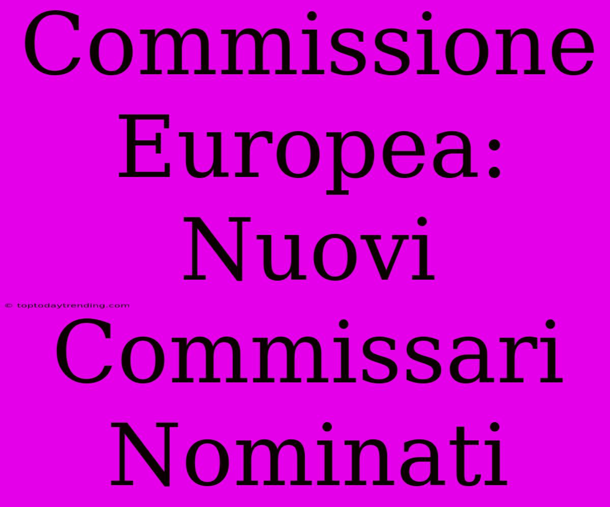 Commissione Europea: Nuovi Commissari Nominati