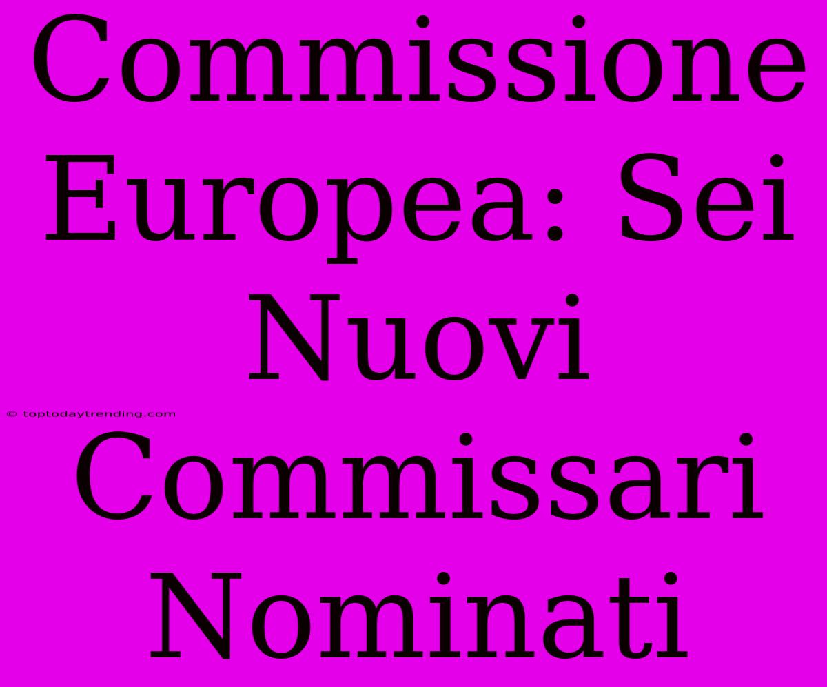 Commissione Europea: Sei Nuovi Commissari Nominati