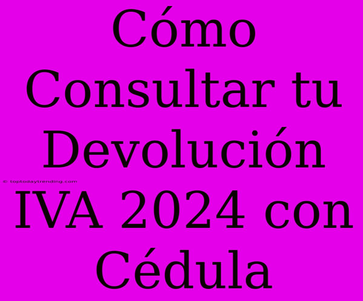 Cómo Consultar Tu Devolución IVA 2024 Con Cédula