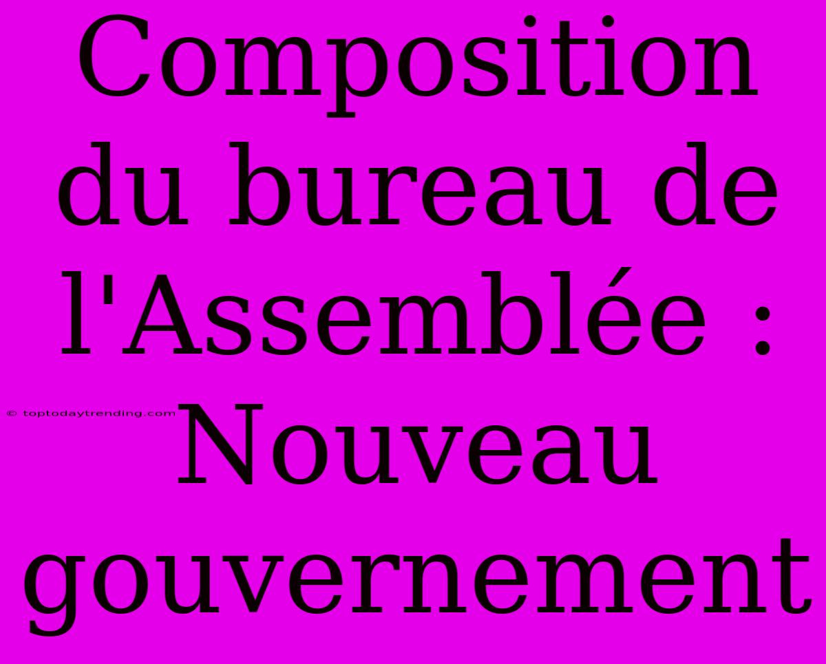 Composition Du Bureau De L'Assemblée : Nouveau Gouvernement