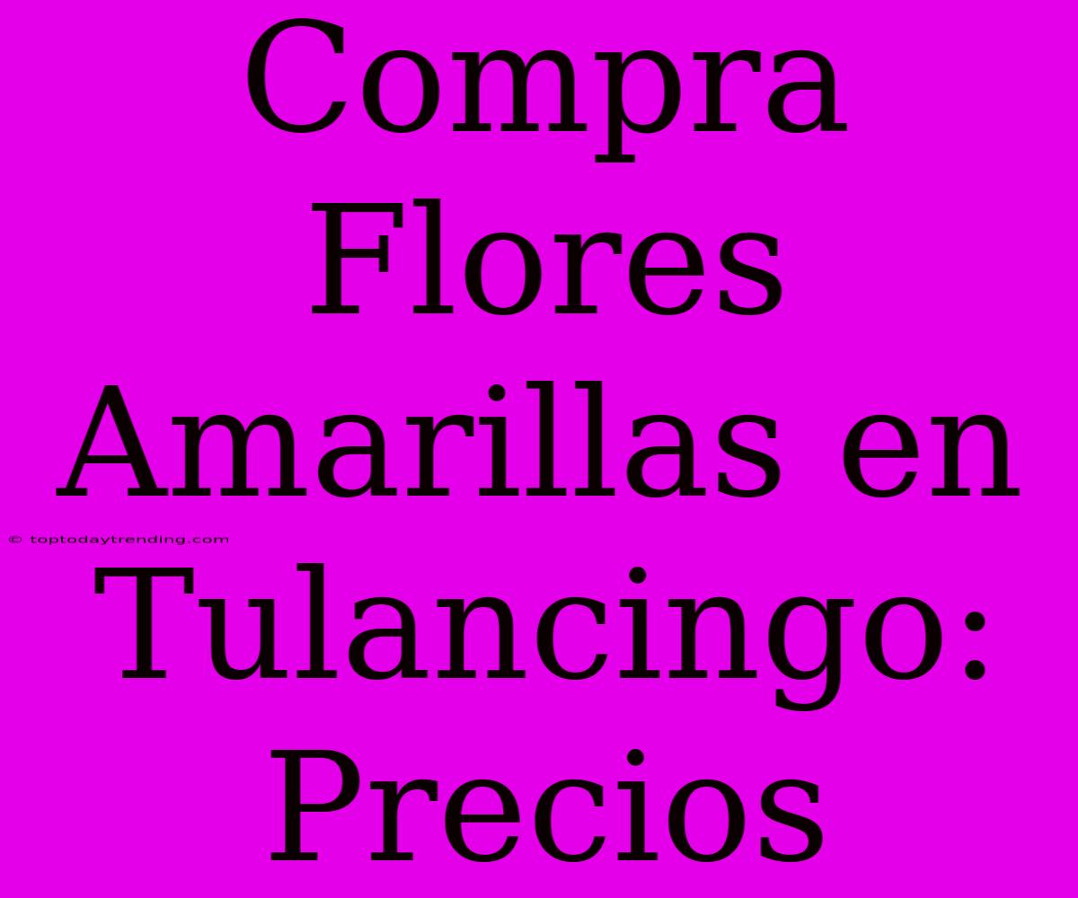 Compra Flores Amarillas En Tulancingo: Precios