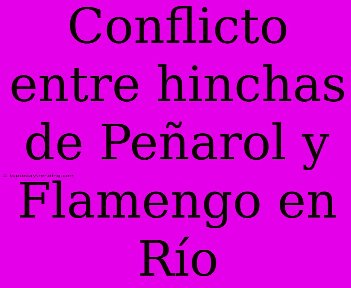 Conflicto Entre Hinchas De Peñarol Y Flamengo En Río