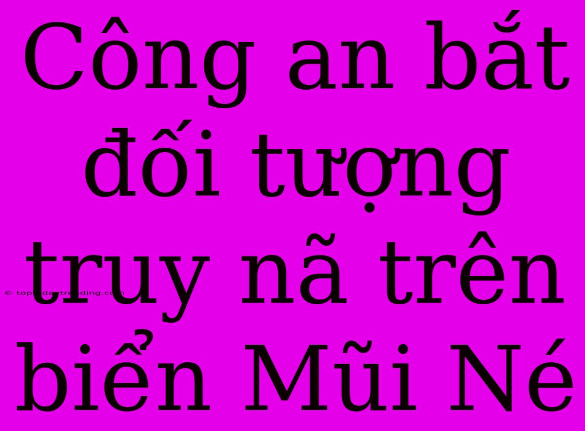 Công An Bắt Đối Tượng Truy Nã Trên Biển Mũi Né