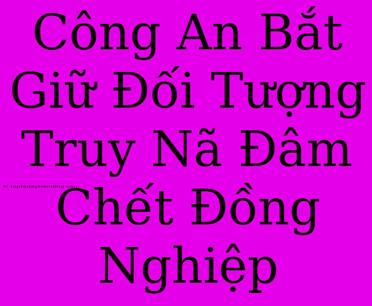 Công An Bắt Giữ Đối Tượng Truy Nã Đâm Chết Đồng Nghiệp